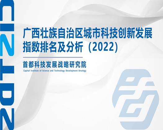 骚货小穴流水了吸取它【成果发布】广西壮族自治区城市科技创新发展指数排名及分析（2022）